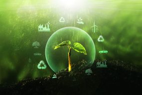 Sources,For,Renewable,,Sustainable,Development.,Environment,And,Ecology,Concept.