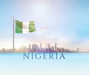 Logistics in Nigeria, Logistics Partner