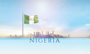 Logistics in Nigeria, Logistics Partner