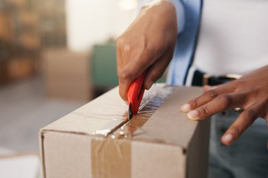 last-mile delivery, e-commerce logistics, courier services